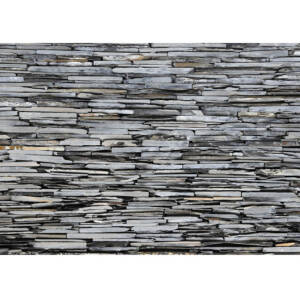 Фототапет Стандарт 360х254см Гнайс