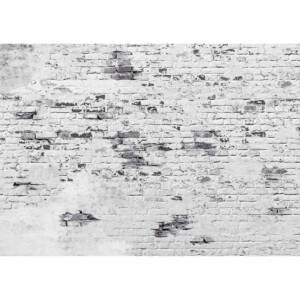Фототапет Стандарт 360х254см Тухлена стена