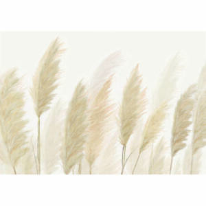 Фототапет Стандарт 360х254см Пампаски треви