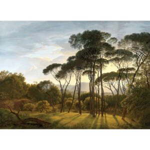 Фототапет Стандарт 360х254см Гора пинии