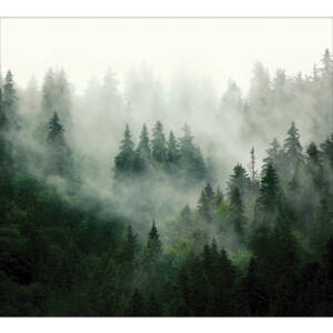 Фототапет Премиум 375х270см Елхова Магия