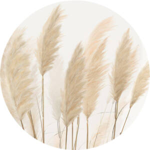 Фототапет Стандарт кръг 125х125см Пампаски треви