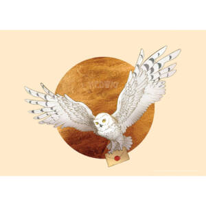 Фототапет Дисни Премиум 155х110см - Хари Потър сова