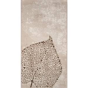 Килим MIKA Creation Cream/Brown 74300.260